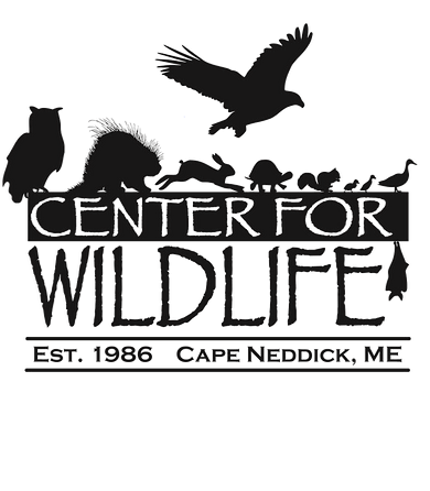 Center for Wildlife logo